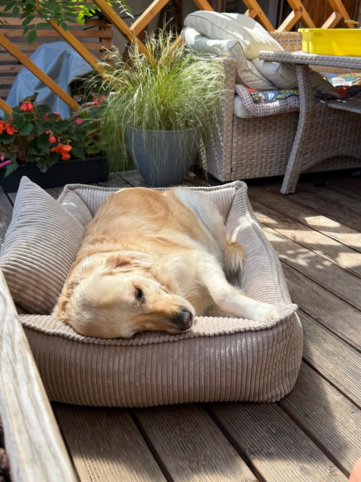 Canapé pour chien Lodie en velours côtelé beige vanille, avec accoudoirs et dossier rembourrés